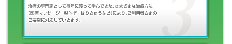 治療の専門家として長年に渡って学んできた、さまざまな治療方法（医療マッサージ・整体術・はりきゅうなど）により、ご利用者さまのご要望に対応していきます。